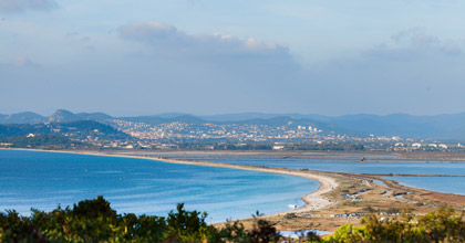 hyeres les palmiers