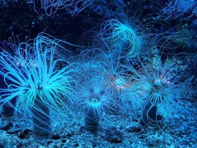 sortir dans le var en famille