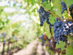 Sortir en couple dans le Var