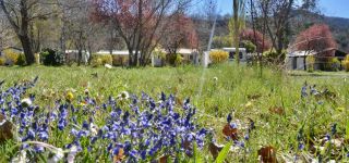 camping la celestine vue