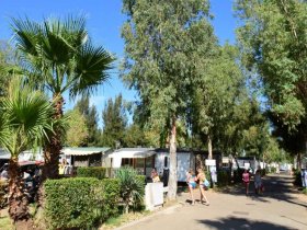camping les palmiers