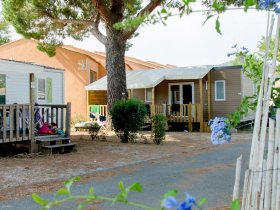 camping bormes les mimosas.jpeg