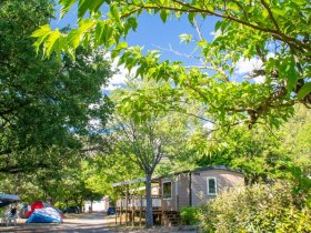 523 editeur page bloc element service saint clair 807x606