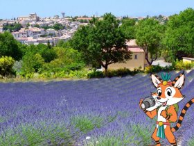 juillet last minute camping