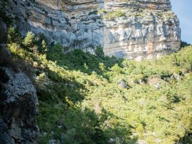 tourisme paca verdon