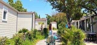 okbest (2) (personnalisé)