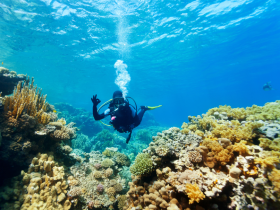 design sans titre   2025 01 27t092911.342