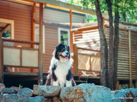 photo @lapattenchantee 18 18