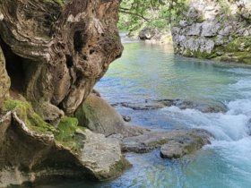 visite parc naturel r�gional des pr�alpes d azur