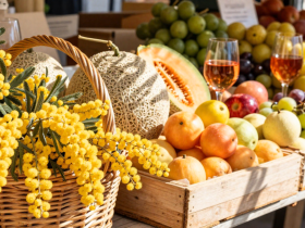 design sans titre   2026 02 03t135431.783