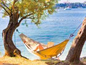 design sans titre   2026 02 03t145445.678