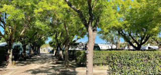 design sans titre   2026 02 03t153000.840