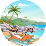 2285 editeur page bloc element tiky rond site plage 243x243