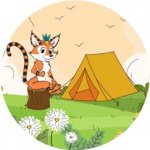 2250 editeur page bloc element tiky rond site tente 243x243