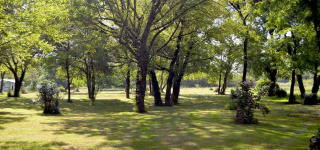 design sans titre   2026 02 10t115522.122