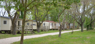 design sans titre   2026 02 12t114311.711