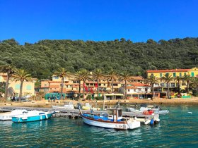 lavandou 808 x 606