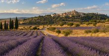 plateau valensole
