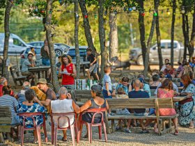 activit�s verdon